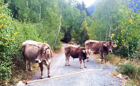 Càmping Aigües Braves