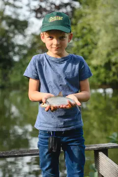 't Dekske