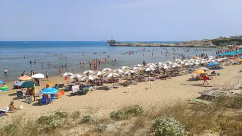 Scialmarino