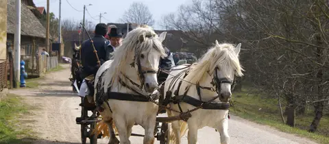 Tradicije Čigoč