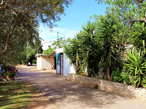 Mindel Kamp