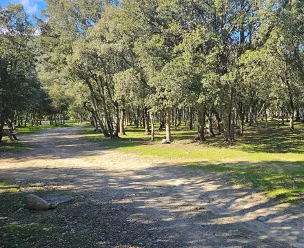 Camping Campita