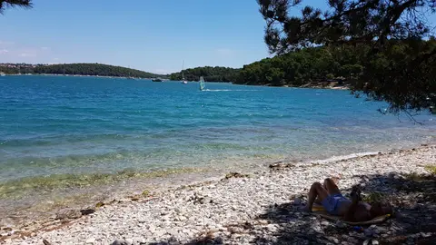 Fratarski