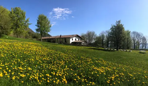 Agriturismo Sulla Via Del Sale