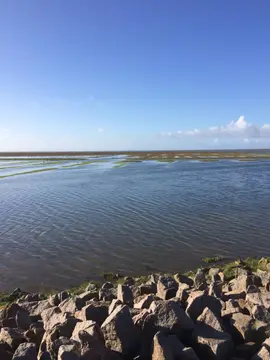 Camping am Nordseedeich