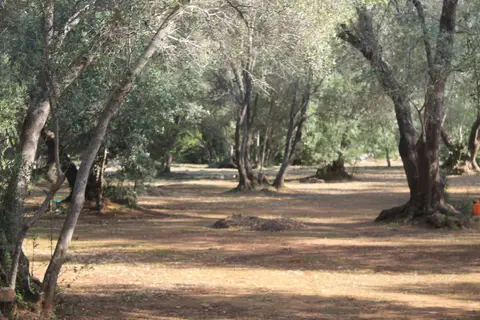 Skriveni