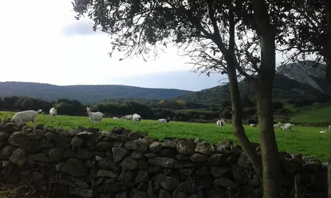 Agricampeggio Elighes Uttiosos