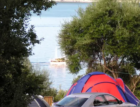 Camping Pod Maslinom
