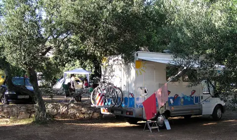 Camping Pod Maslinom