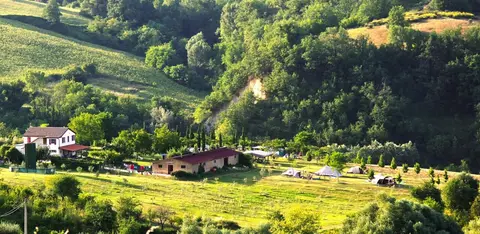 Agricamp Picobello