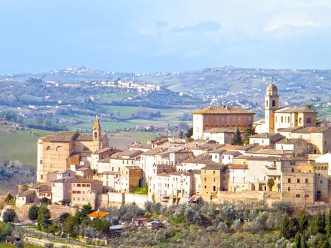 Agricamp Picobello