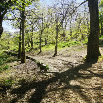 Camping Camaldoli