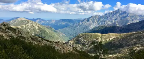 La Pinede