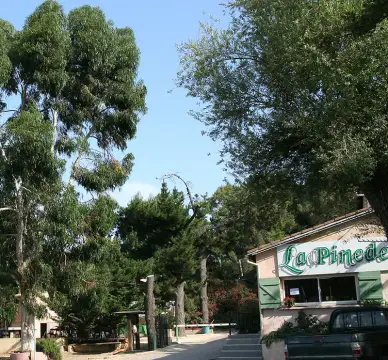 La Pinede