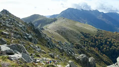 La Pinede