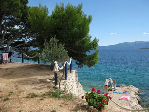 Camp Male Ciste