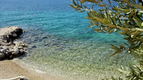 Camp Male Ciste