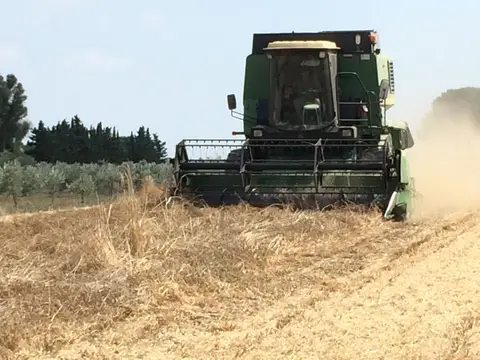 Agricamping Ioniti