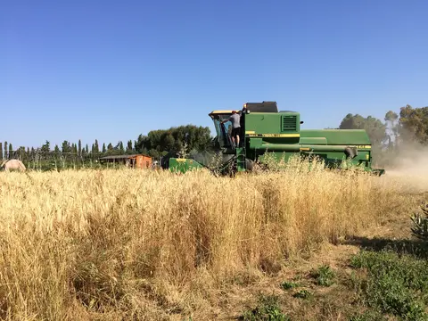 Agricamping Ioniti