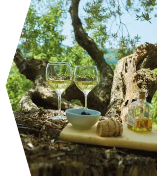 Agriturismo Sant Anna