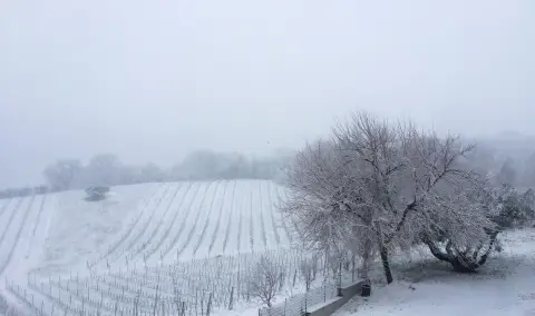 Agriturismo Sant Anna