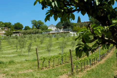 Agriturismo Sant Anna
