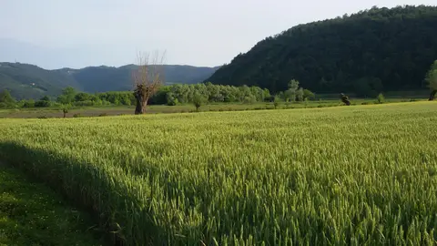 Agriturismo Il Lago