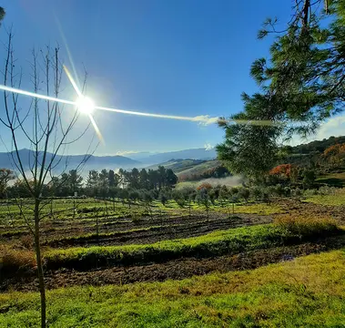 Agricampeggio Podernuovo