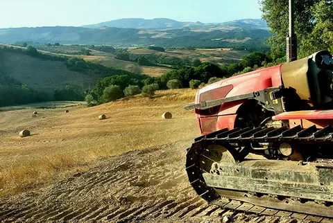 Agricampeggio Podernuovo