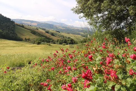 Agricampeggio Podernuovo