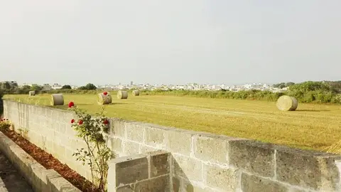 Área Sosta Oasy Park