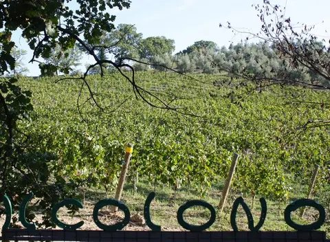 Agricampeggio Il Colono