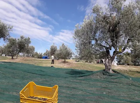 Agricampeggio Il Colono