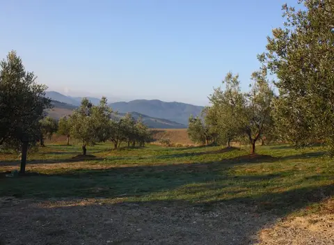 Agricampeggio Il Colono