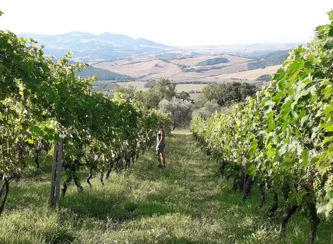 Agricampeggio Il Colono