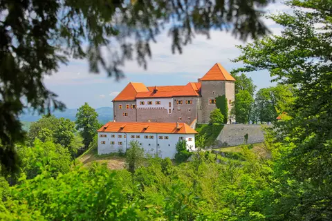 PZA Kozje