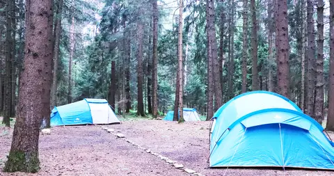 EcoCampeggio Placàt