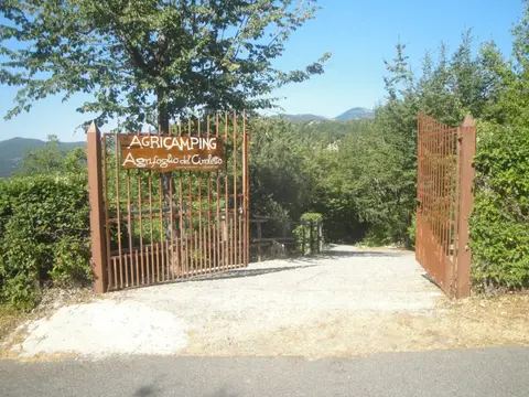 Agrifoglio del Ciroletto
