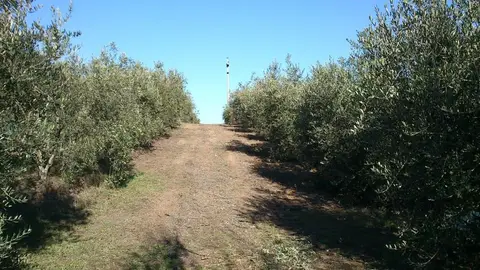 Il Vecchio Fienile