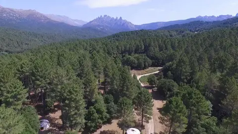 Le Pré aux Biches