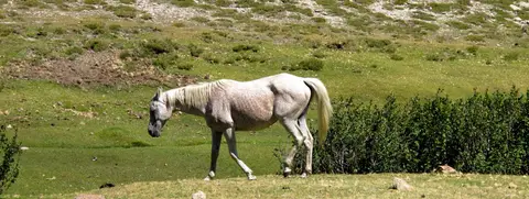 Gite d'Étape La Tonnelle
