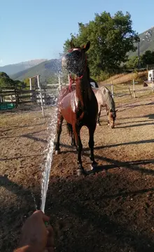 Parco Equituristico A.S.D. Cavalcando la Valle del Tirino