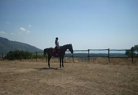 Agricamping Su Nuragheddu