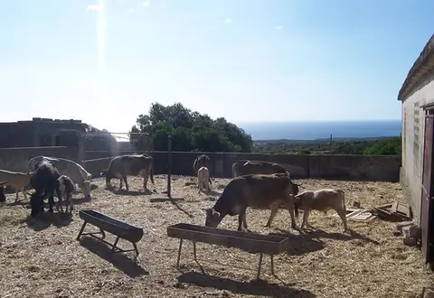 Agricamping Su Nuragheddu
