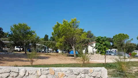 Cota
