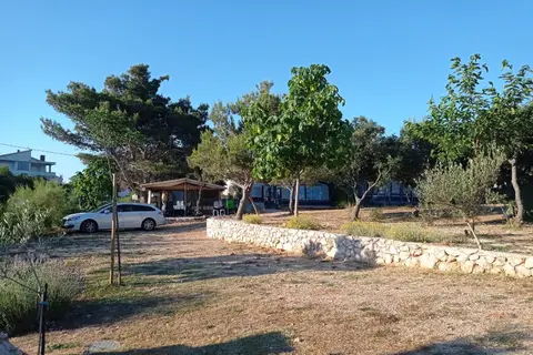 Cota