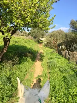 garden sharing Officina Equestre