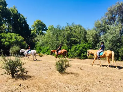 garden sharing Officina Equestre