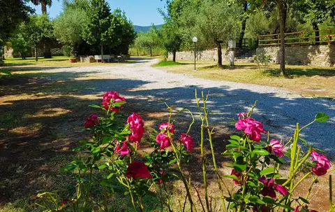Trentova Camping Park