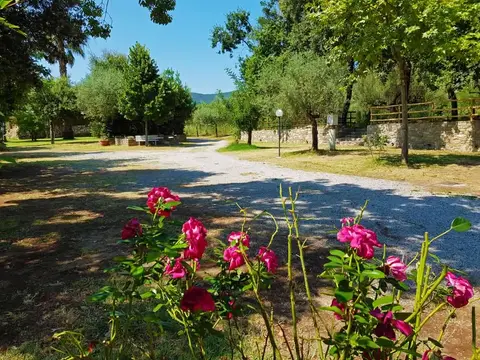 Trentova Camping Park